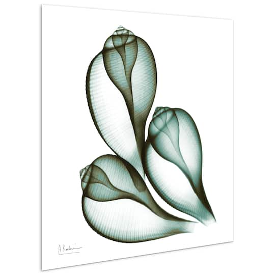 Empire Art Direct 24" x 24" Coastal Serenity Frameless Free Floating Printed Tempered Glass Wall Art